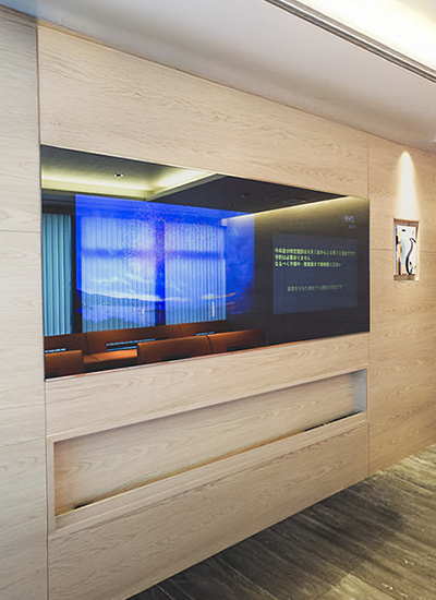 Mirror TV